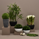 Artificial Planters